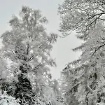 Sleep And Im Gruenen * Schneverdingen