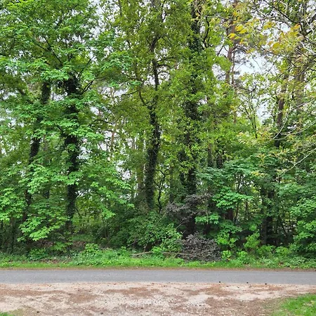 Sleep And Im Gruenen Апартаменты Шнефердинген