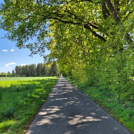 Sleep And Im Gruenen Schneverdingen