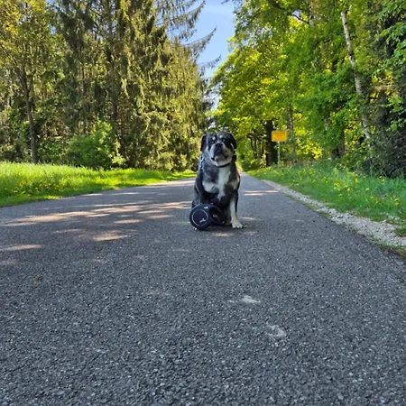 Sleep And Im Gruenen * Шнефердинген