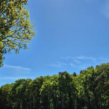Sleep And Im Gruenen * Schneverdingen