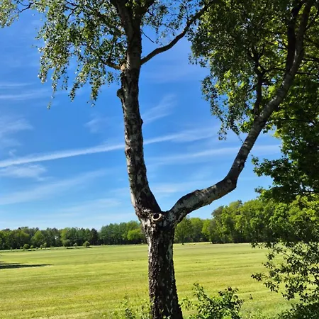 Sleep And Im Gruenen Lägenhet
