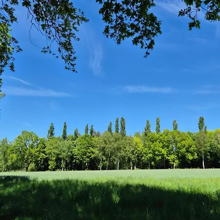 Sleep And Im Gruenen Schneverdingen