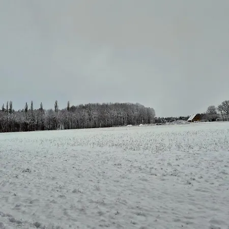 Sleep And Im Gruenen アパート