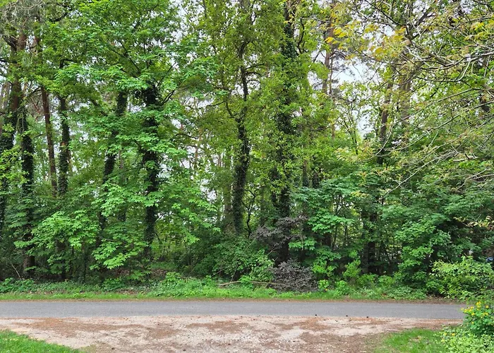 Sleep And Im Gruenen Lejlighed Schneverdingen