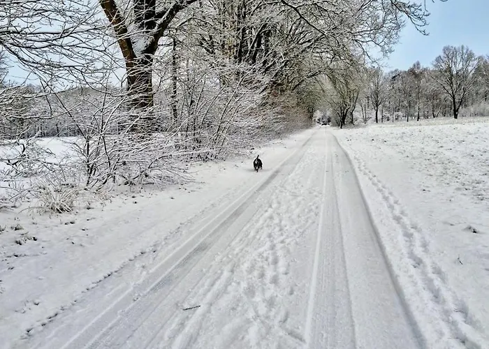 Sleep And Im Gruenen