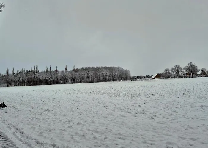 Sleep And Im Gruenen Lejlighed